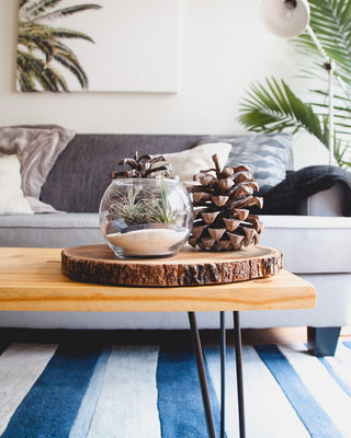 Coffee Tables
