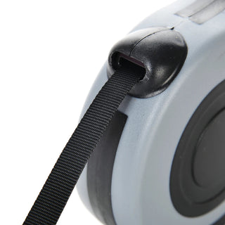 PawGo Retractable Leash – Freedom on a Roll!