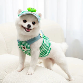 Quack & Ribbit Spring Dog Harness Set