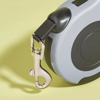 PawGo Retractable Leash – Freedom on a Roll!