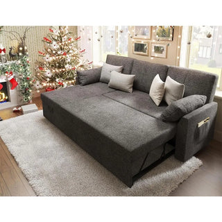 2-in-1 Pull Out Sleeper Sofa Bed with Hidden Storage