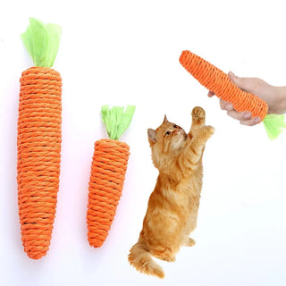 Chirp’nChew Carrot Cat Toy