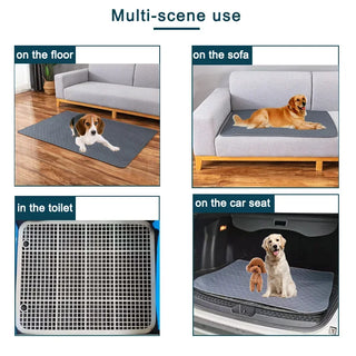 Dog Pee Pad Blanket – Reusable & Ultra Absorbent