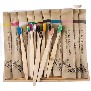 EcoBloom Bamboo Toothbrush Set - 10-Pack