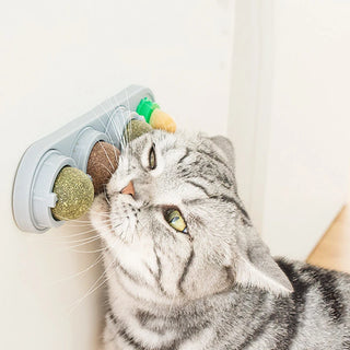 Kitty Bliss Snack Track
