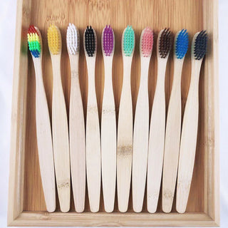 EcoBloom Bamboo Toothbrush Set - 10-Pack