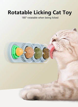 Kitty Bliss Snack Track