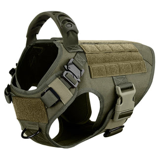 Heavy-Duty 6-Piece Tactical Dog Harness and Leash Set