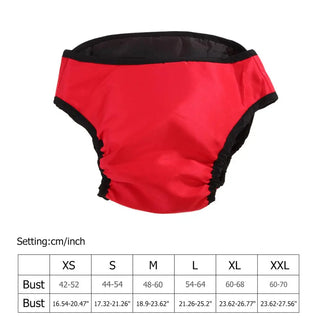 Washable Dog Menstruation Shorts