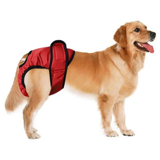 Washable Dog Menstruation Shorts