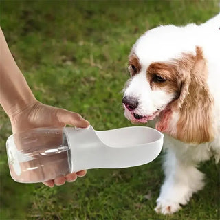 300ML Pet Travel Water Bottle