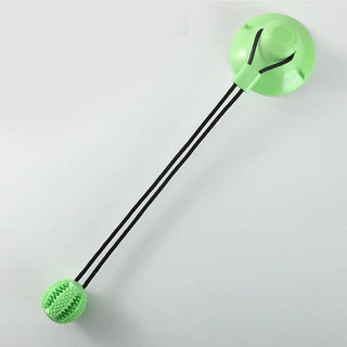 TugTrek Suction Cup Dog Toy