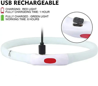 USB Rechargeable Luminous Dog Collar.