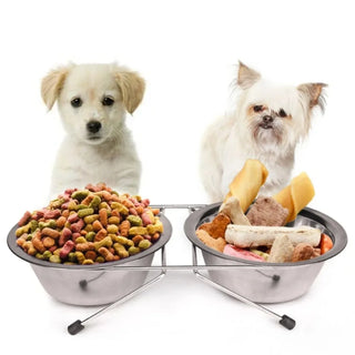 Stainless Steel Double Bowl Feeder