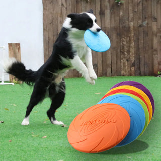 Training Frisbeed