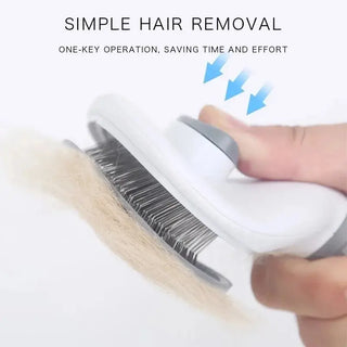 FurEase Self-Cleaning Pet Brush