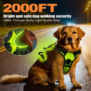 LumiGuard LED Dog Harness