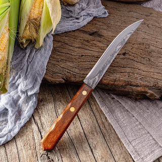 XUANTENG Damascus Steel Steak Knife – Handcrafted Precision for Every Meal