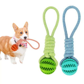 Pet Teeth Cleaning Treat Ball