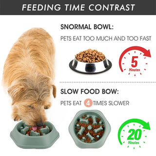 Anti-choking Slow Feeder Dog Bowl