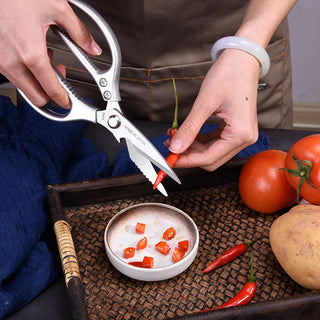 Stainless Stee Bone Scissors