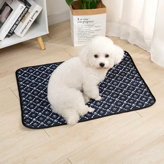 Dog Pee Pad Blanket – Reusable & Ultra Absorbent