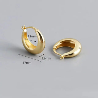 Smooth Arc-shaped Water Drop Chunky Hoop Earrings