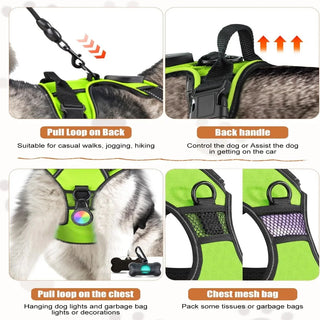 LumiGuard LED Dog Harness