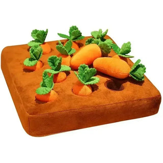 Carrot Field Nose Work Snuffle Mat