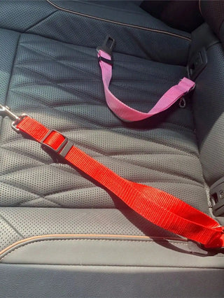 Adjustable Pet Safety Seat Belt (Only Black Available)