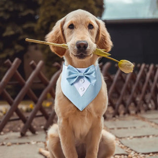 Adjustable Tuxedo Bow Ties for Dogs