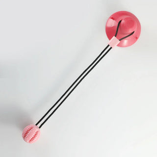 TugTrek Suction Cup Dog Toy