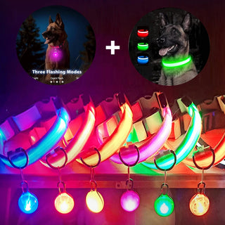 USB Light Up Dog Collar With Pendant