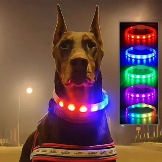 USB Rechargeable Luminous Dog Collar.