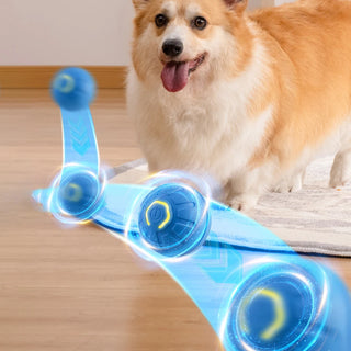 Smart Automatic Rolling Dog Ball