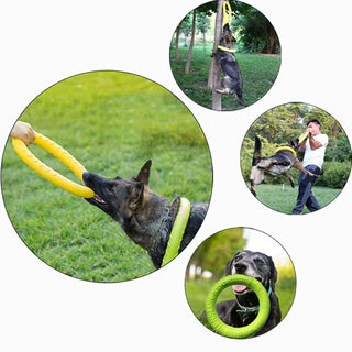 Dog Training Ring Puller