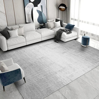 Modern Simple Stone Living Room Rugs