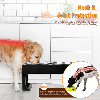 Kimpets  Double Bowls Stand 3 Adjustable Height