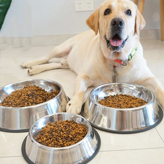 6 Size Stainless Steel Pet Dog/Cat Bowls