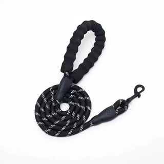 NightGuard Reflective Nylon Leash