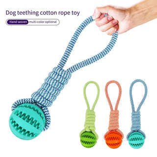 Pet Teeth Cleaning Treat Ball