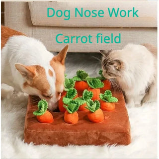 Carrot Field Nose Work Snuffle Mat