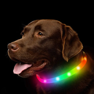 USB Rechargeable Luminous Dog Collar.