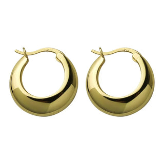 Smooth Arc-shaped Water Drop Chunky Hoop Earrings