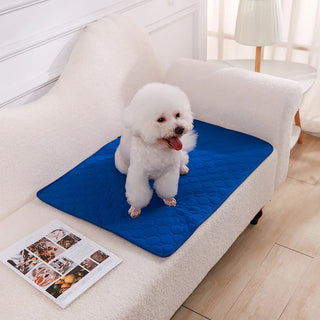 Dog Pee Pad Blanket – Reusable & Ultra Absorbent