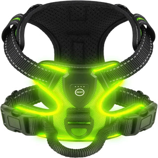 LumiGuard LED Dog Harness