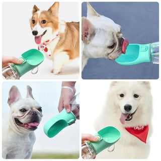 300ML Pet Travel Water Bottle