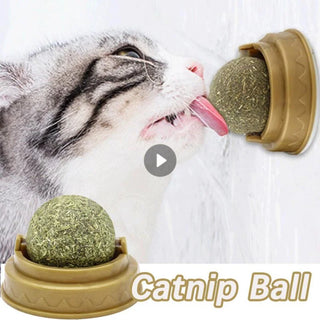 Catnip Stick-on Wall Ball