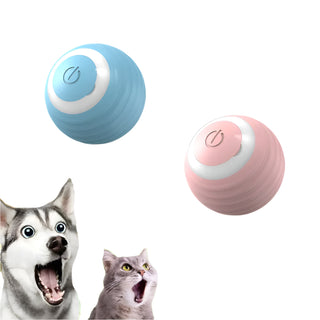 HuntSphere Smart Pet Ball