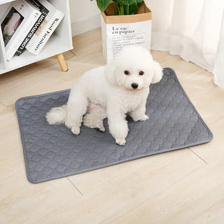 Dog Pee Pad Blanket – Reusable & Ultra Absorbent